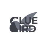 Blue Bird – 1 – Logo Design